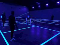 Blacklight Pickleball